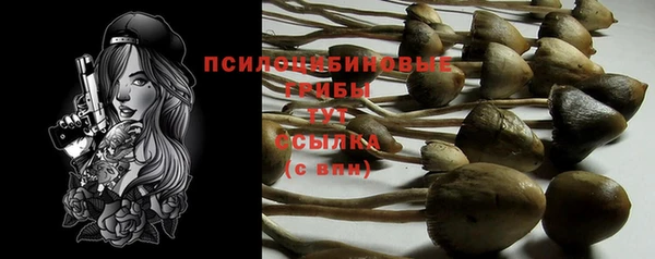 jwh Беломорск