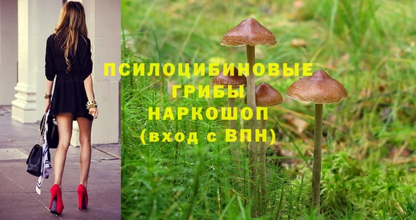 твердый Баксан