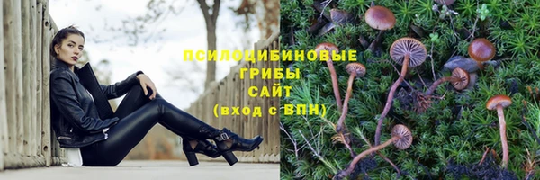 jwh Беломорск