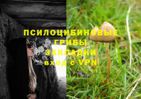 прущие крисы Балабаново